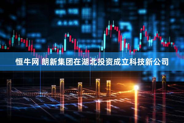 恒牛网 朗新集团在湖北投资成立科技新公司