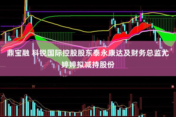 鼎宝融 科锐国际控股股东泰永康达及财务总监尤婷婷拟减持股份