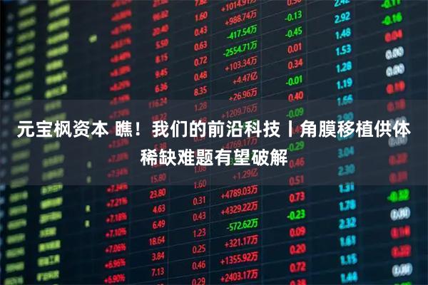 元宝枫资本 瞧！我们的前沿科技丨角膜移植供体稀缺难题有望破解