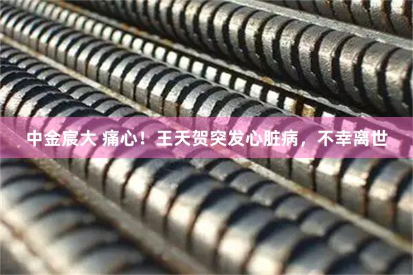 中金宸大 痛心！王天贺突发心脏病，不幸离世