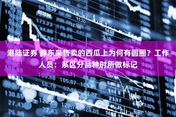 港陆证券 胖东来售卖的西瓜上为何有圆圈？工作人员：系区分品种时所做标记